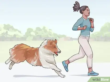 Image titled Get Your Dog to Follow You Step 11