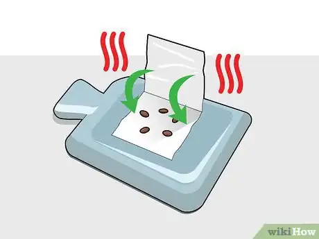 Image titled Grow Chocolate Indoors Step 4