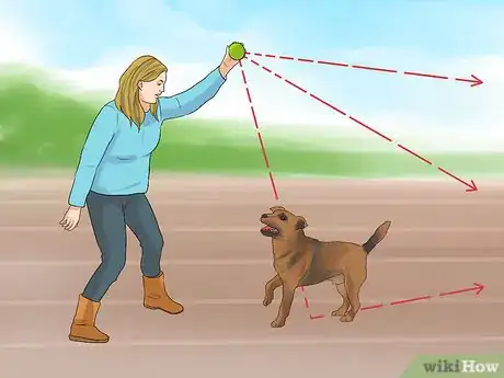 Image titled Have a Fun Day with Your Dog Step 5