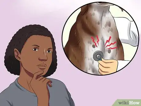 Image titled Diagnose Aortic Stenosis in German Shorthaired Pointers Step 5