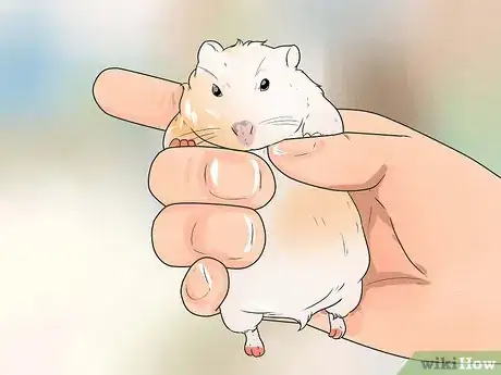Image titled Train a Hamster Not to Bite Step 9