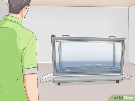 Image titled Exercise a Senior Dog on a Water Treadmill Step 4