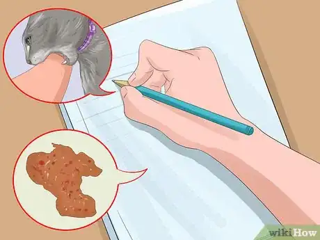 Image titled Have a Successful Visit to the Vet Step 3