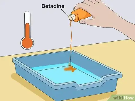 Image titled Give a Lizard a Bath Step 11