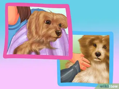 Image titled Groom a Thick Furred Dog Step 6