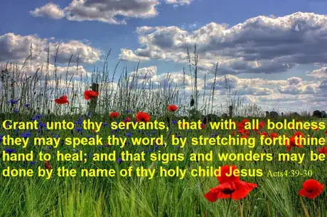 Image titled Acts4v29 30.png