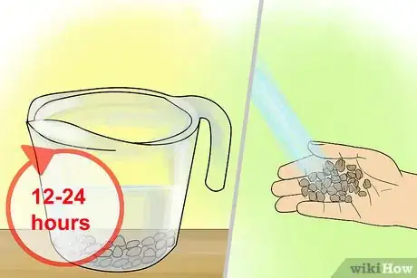 Image titled Care for Cyclamen Plants Step 17