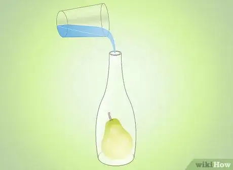 Image titled Get a Pear Into a Wine Bottle Step 19