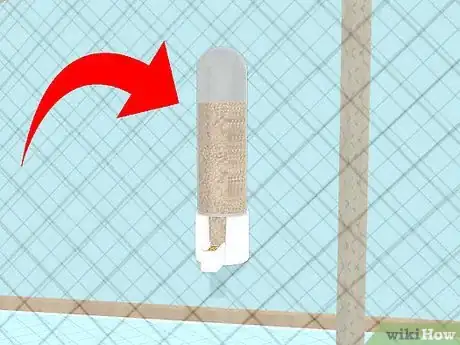 Image titled Keep a Cockatiel Healthy Step 3