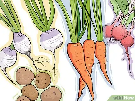 Image titled Choose Vegetables for a Shade Garden Step 2