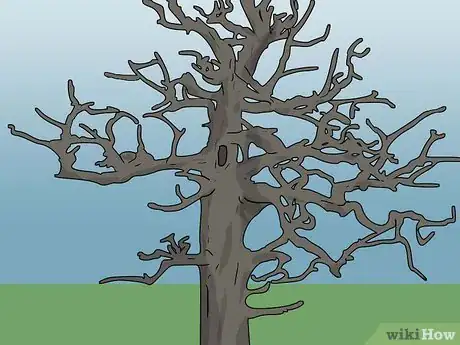 Image titled Attract Squirrels Step 7