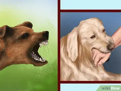 Image titled Feel Comfortable Around Big Dogs Step 8