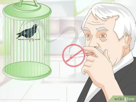 Image titled Avoid Poisoning Your Pet Bird Step 8