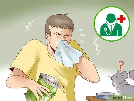 Image titled Know if a Chinchilla Is Right for You Step 3