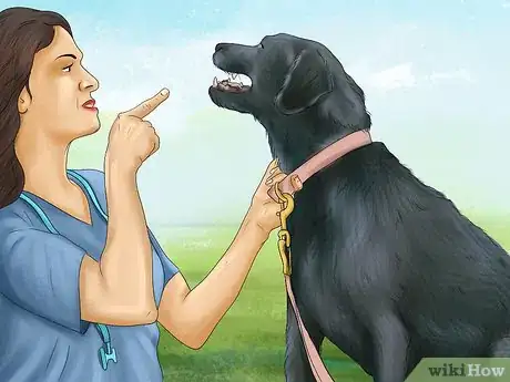 Image titled Know when to Find a New Vet Step 3