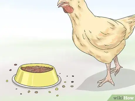 Image titled Feed Chickens Table Scraps Step 14