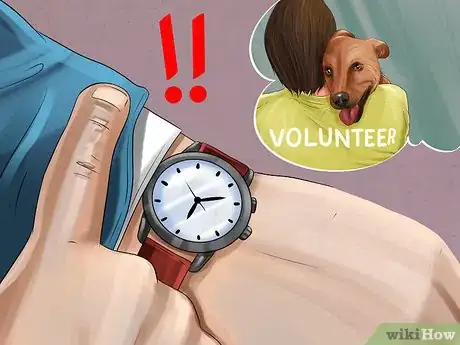 Image titled Help Shelter Dogs Step 5