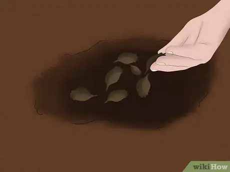 Image titled Plant a Sweet Shrub Step 6Bullet1