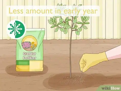 Image titled Keep a Pear Tree Healthy Step 6