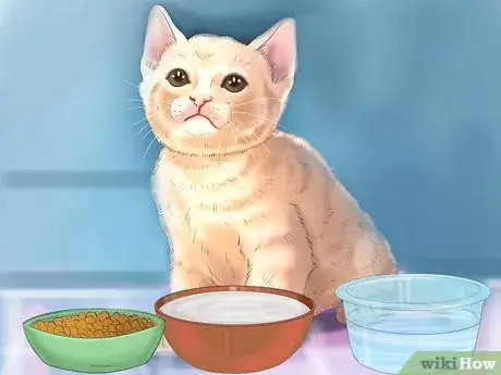 Image titled Care for Your Cat Step 10