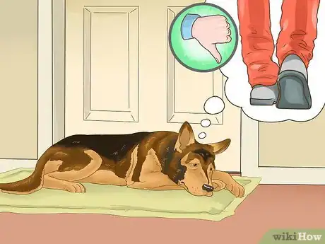 Image titled Manage Behavioral Dysfunction in Older Dogs Step 8