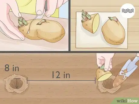 Image titled Grow Vegetables Indoors Step 3