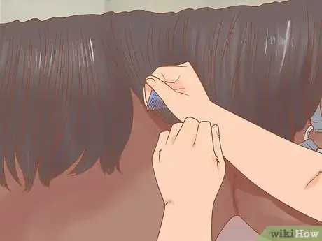 Image titled Groom a Horse for a Show Step 21