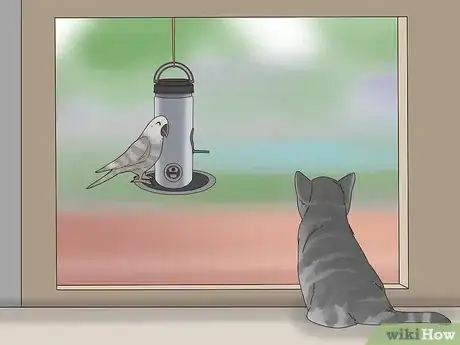 Image titled Deal with Your Cat Pacing at Night Step 6