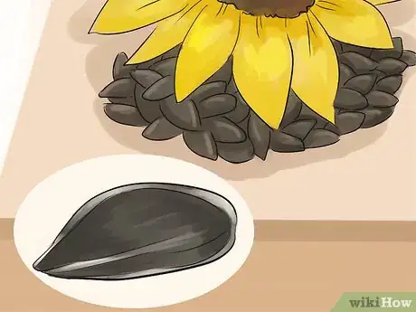 Image titled Improve Biodiversity in Schools Step 2