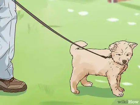 Image titled Return to Normal Activity After a Heart Attack Step 2