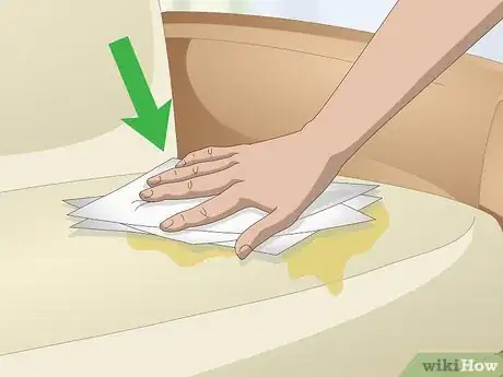 Image titled Remove Cat Spray or Pee from a Leather Couch Step 1