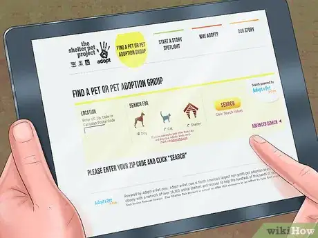 Image titled Help Shelter Dogs Step 1