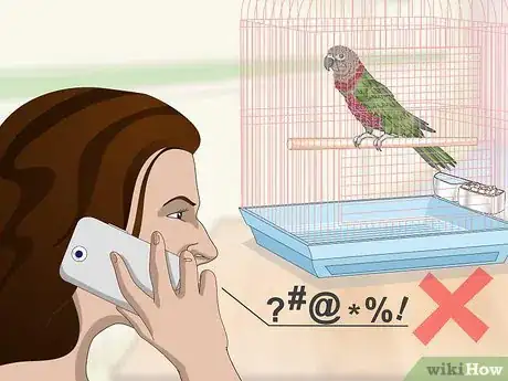 Image titled Teach a Hawk‐Headed Parrot to Speak Step 6
