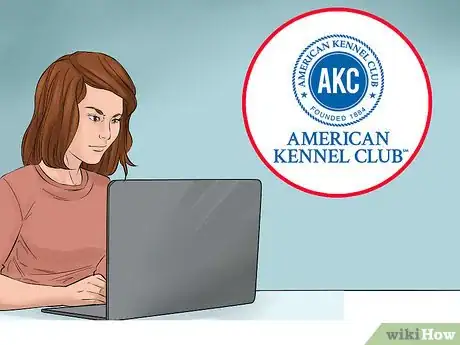 Image titled Check Breed Standards Before Breeding Dogs Step 1