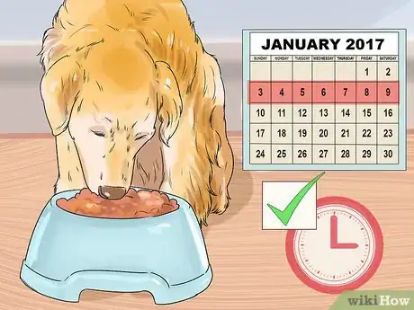 Image titled Get Used to a New Dog Step 8