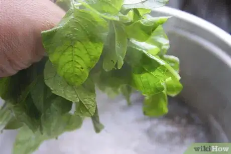 Image titled Make Palak Paneer Step 1