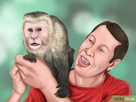 Image titled Quiet a Capuchin Monkey Step 10