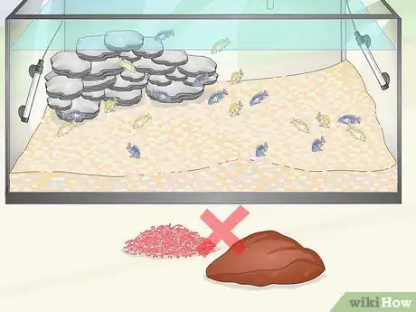 Image titled Care for Mbuna Cichlids Step 13