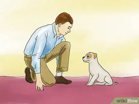 Image titled Teach a Small Dog to Lie Down on Command Step 1