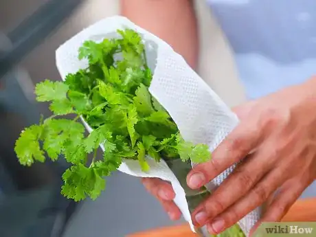 Image titled Store Herbs Step 4