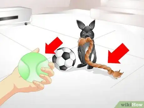 Image titled Keep Your Rabbit Slim Step 6