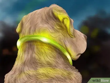 Image titled Care for Your Dog in the Winter Step 14