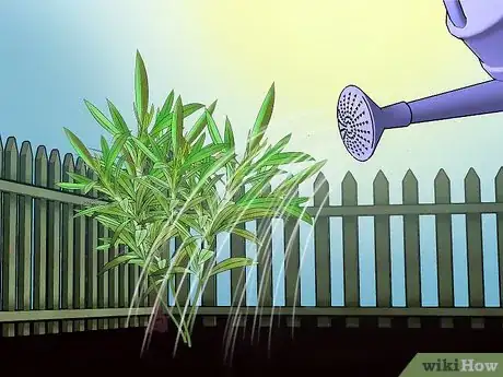 Image titled Grow Oleander Step 13