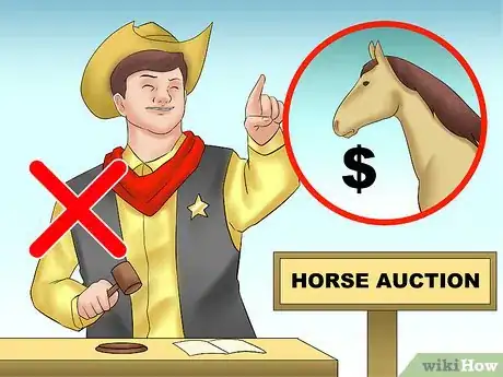 Image titled Buy Your First Horse Step 15