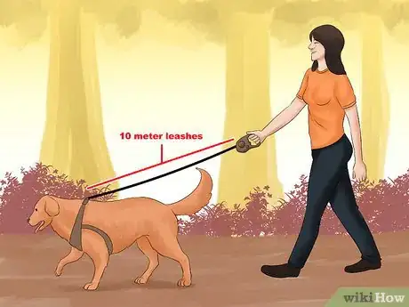 Image titled Walk a Dog in the Woods Step 12