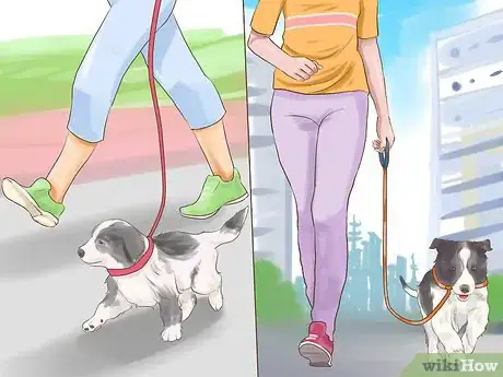 Image titled Adopt Multiple Dogs at One Time Step 15