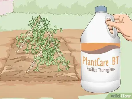 Image titled Use Organic Pesticides for Gardening Step 4