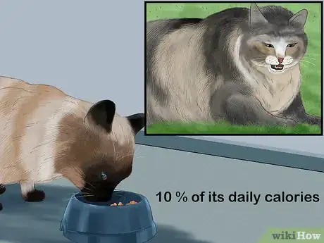 Image titled Diagnose and Treat Feline Bronchitis Step 11