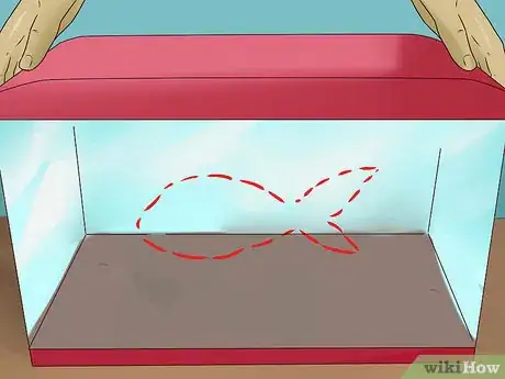 Image titled Maintain Salt Water Aquariums Step 3