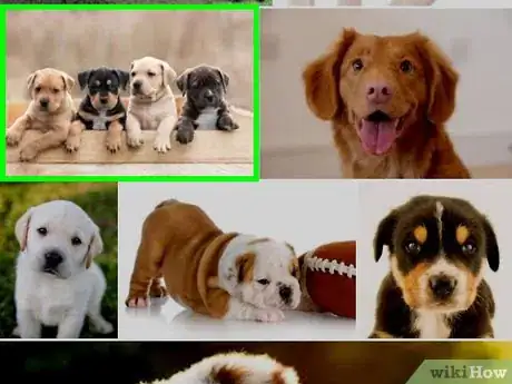 Image titled Download Images from Google on iPhone or iPad Step 11